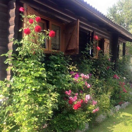 Photo exteriors in summer Chalet Orse e Rose
