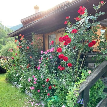 Foto esterno in estate Chalet Orse e Rose
