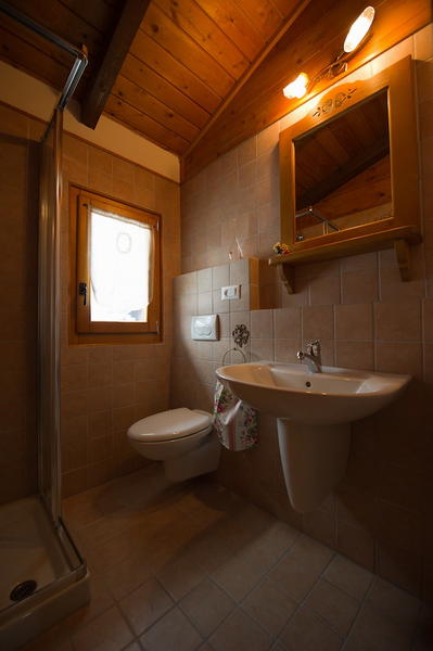 Foto del bagno Appartamenti Chalet Orse e Rose