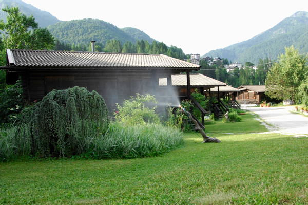 Photo of the garden Val di Zoldo - Forno