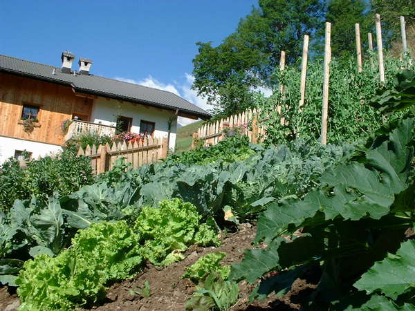 Foto vom Garten Arabba - Livinallongo del Col di Lana