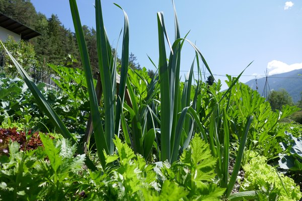 Foto del giardino San Lorenzo di Sebato