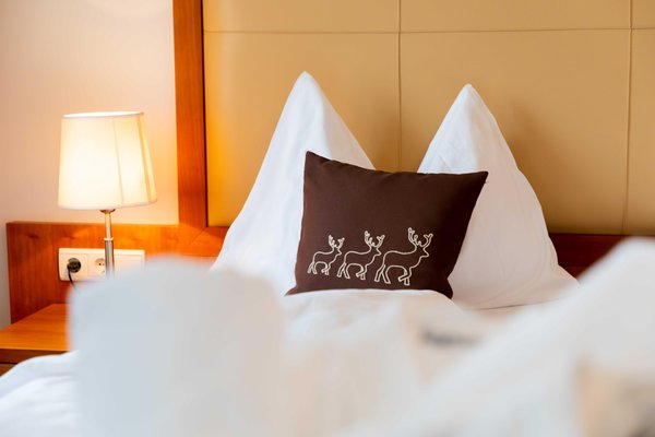 Photo of the room Hotel Martinerhof