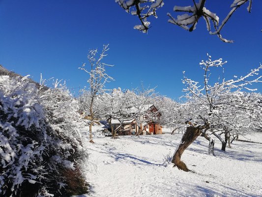 Foto esterno in inverno Chalet La Casetta Nel Frutteto