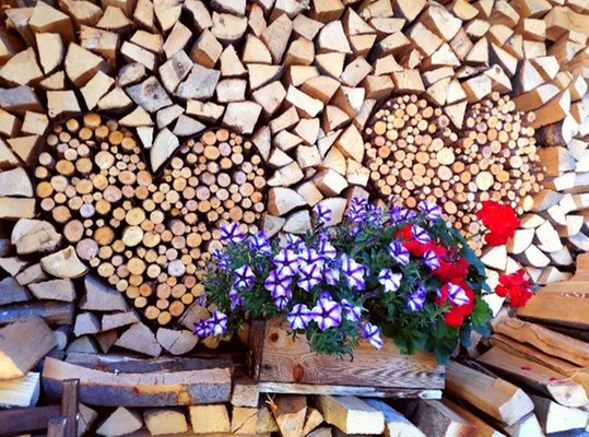 Foto del giardino Auronzo di Cadore