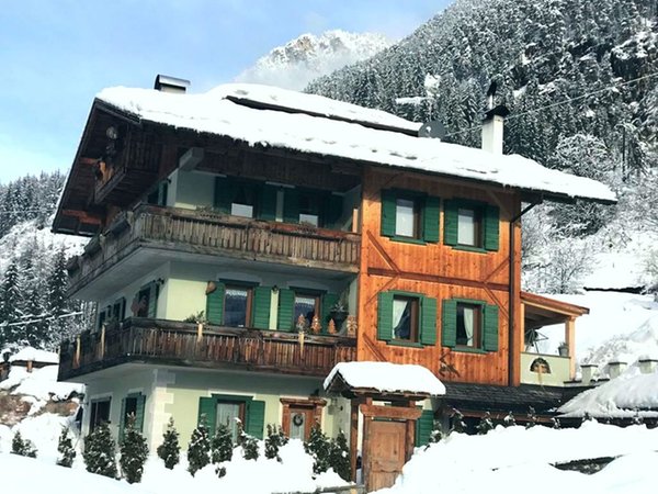 Photo exteriors in winter Tarin