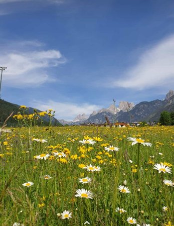 Photo gallery Cortina d'Ampezzo and surroundings summer
