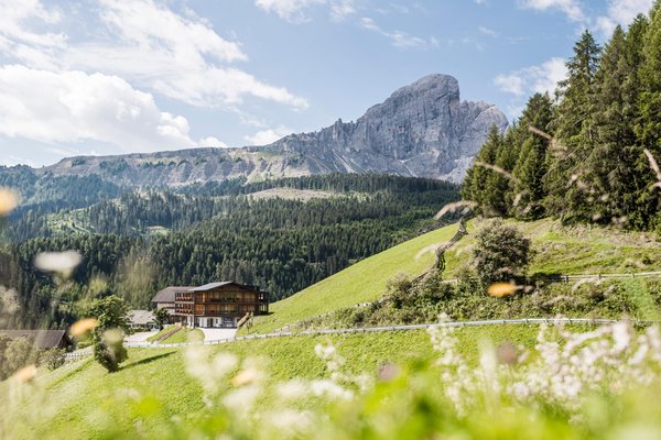 La posizione Appartamenti in agriturismo La Majun San Martino in Badia