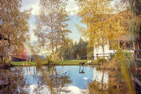 Foto esterno in estate Saalerwirt