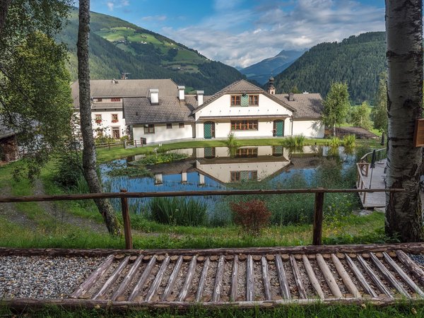 Foto esterno in estate Saalerwirt