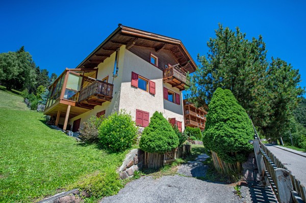 Foto Außenansicht Ferienwohnung Sellablick
