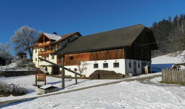 Foto Außenansicht B&B + Ferienwohnungen auf dem Bauernhof Oberbinder