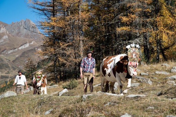 Ferienwohnungen auf dem Bauernhof Mooserhof Tauferer Tal