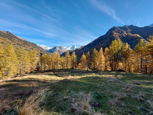 Bildergalerie Sommer