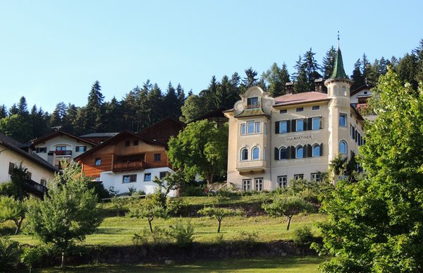 Foto esterno in estate Villa Martiner