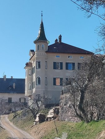 Foto esterno in estate Villa Martiner