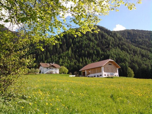 La posizione Appartamenti in agriturismo Beikircherhof San Lorenzo di Sebato