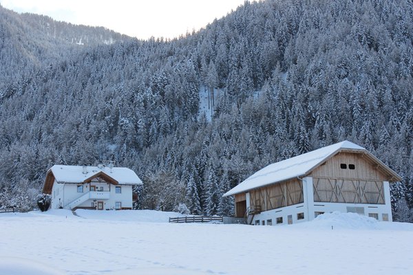 La posizione Appartamenti in agriturismo Beikircherhof San Lorenzo di Sebato