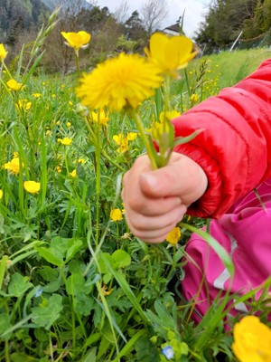 Photo of the garden San Lorenzo di Sebato / St. Lorenzen