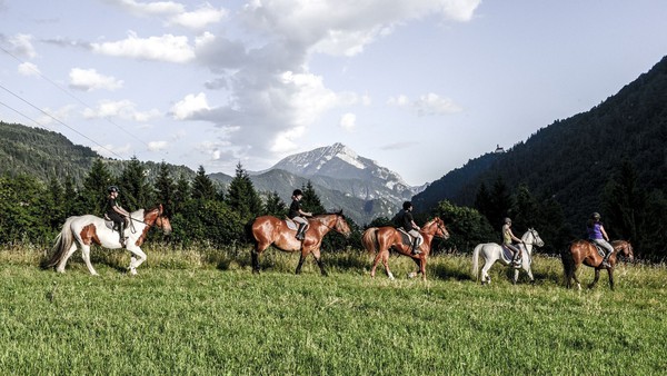 Aktivitäten Friauler Alpen