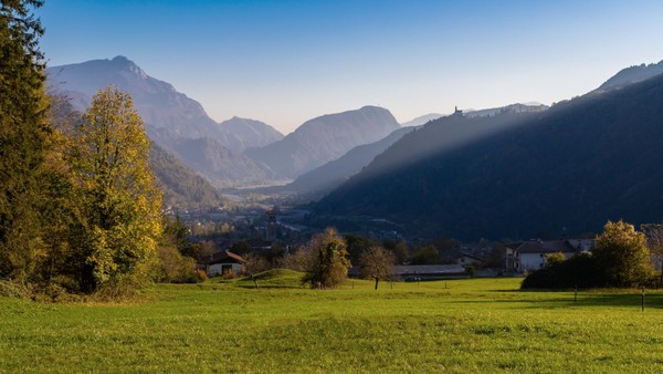 Bildergalerie