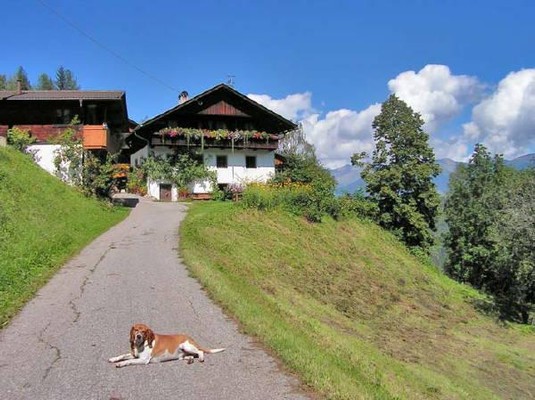 Photo exteriors Farmhouse apartments Rastnerhof