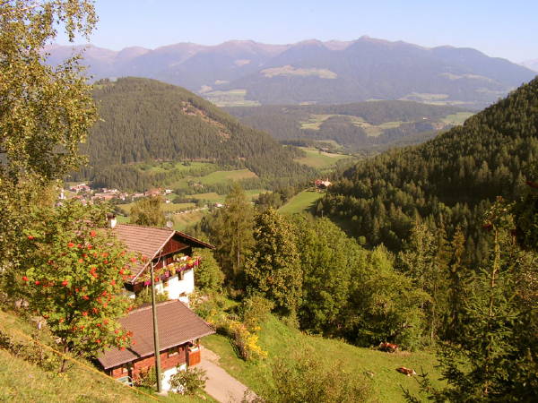 Immagine Appartamenti in agriturismo Rastnerhof