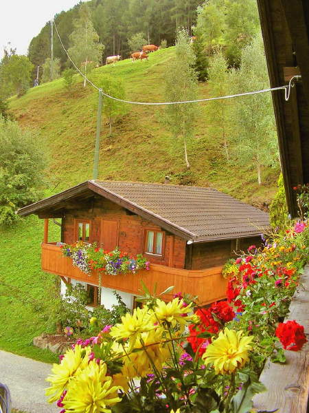 Immagine Appartamenti in agriturismo Rastnerhof