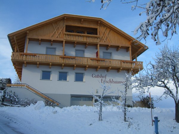 Foto esterno in inverno Erschbaumer
