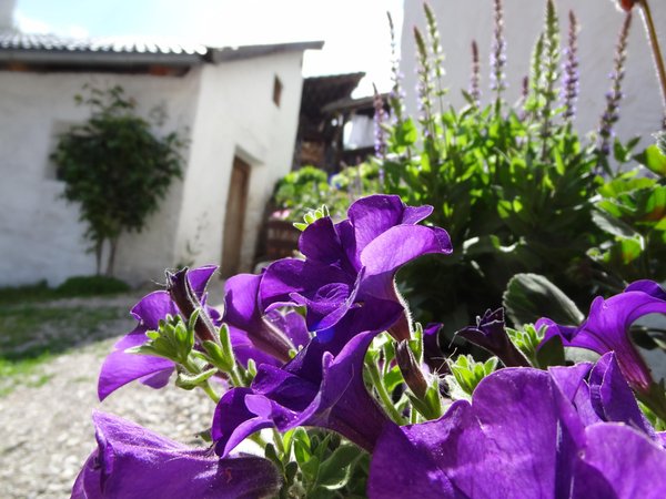 Foto vom Garten St. Lorenzen