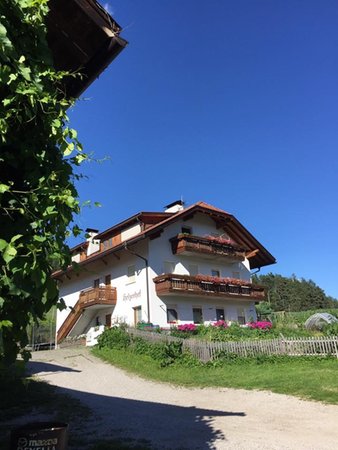Sommer Präsentationsbild Ferienwohnungen auf dem Bauernhof Holzerhof