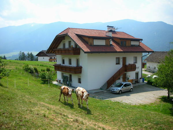 Photo exteriors in summer Holzerhof