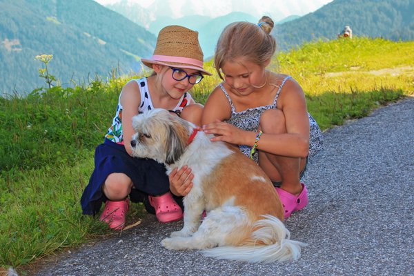 Foto degli animali
