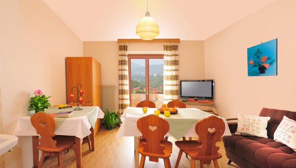 The living area Farmhouse apartments Unterguggenberg