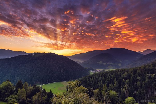 Bildergalerie Sommer