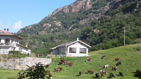 Foto Außenansicht Bauernhofspension Le Rocher Fleurì