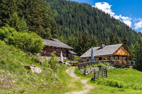 Photo exteriors Alpine farm Bergeralm