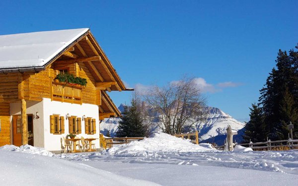 Winter Präsentationsbild Alm Capanna / Neuhütt
