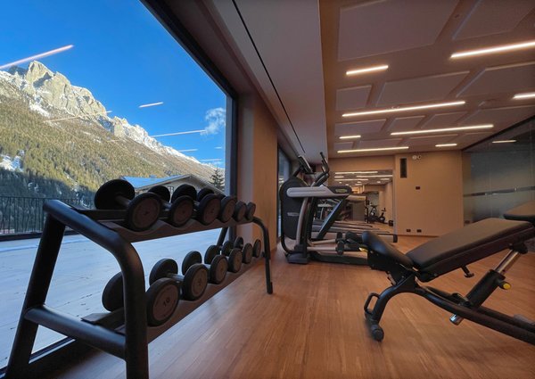 Photo of the fitness area Ciampedie Luxury Alpine Spa Hotel