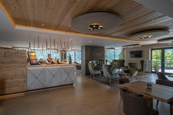 Foto del bar Ciampedie Luxury Alpine Spa Hotel