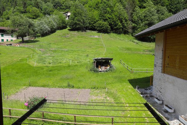 Foto del giardino Canal San Bovo (Valle del Vanoi)