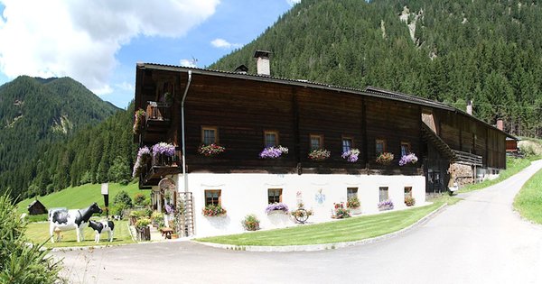 Photo exteriors in summer Örlerhof