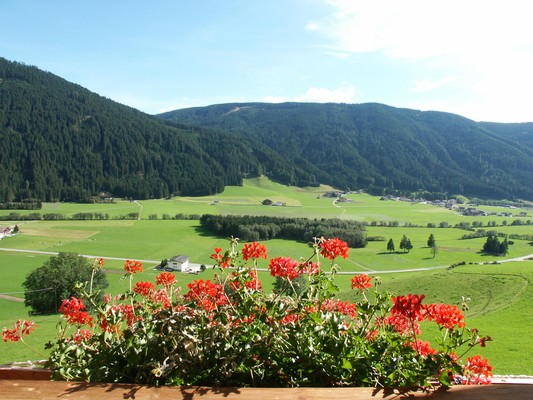 View from the business