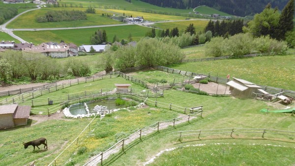 Foto del giardino Valle di Casies