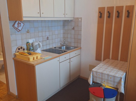 Photo of the kitchen Untersinnerhof