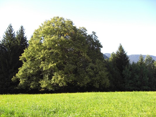 Bildergalerie