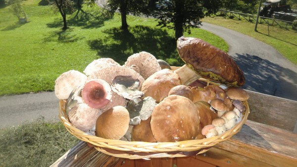 Das Essen