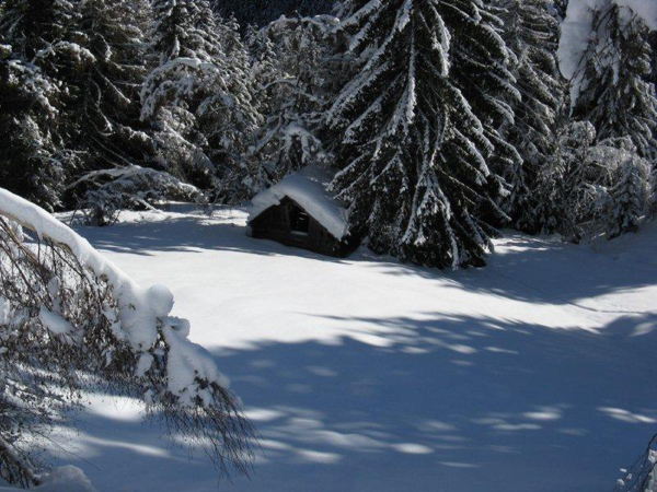 Bildergalerie Winter