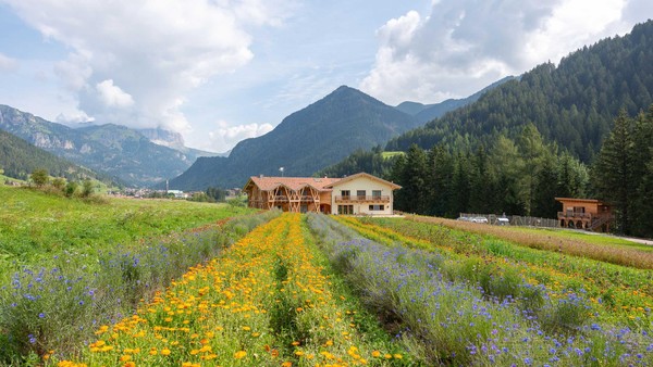 Photo exteriors Farmhouse B&B EcoGreen Agritur Fiores
