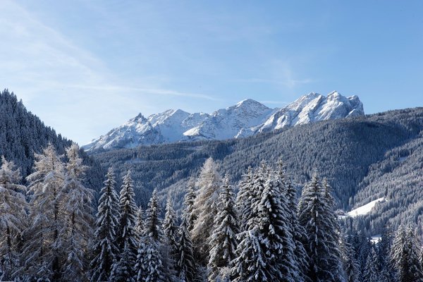 Panorama Tesido